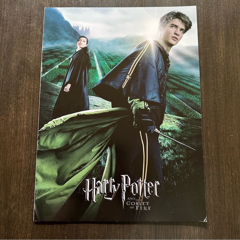 Harry Potter Voldemort Double Sided Movie Poster